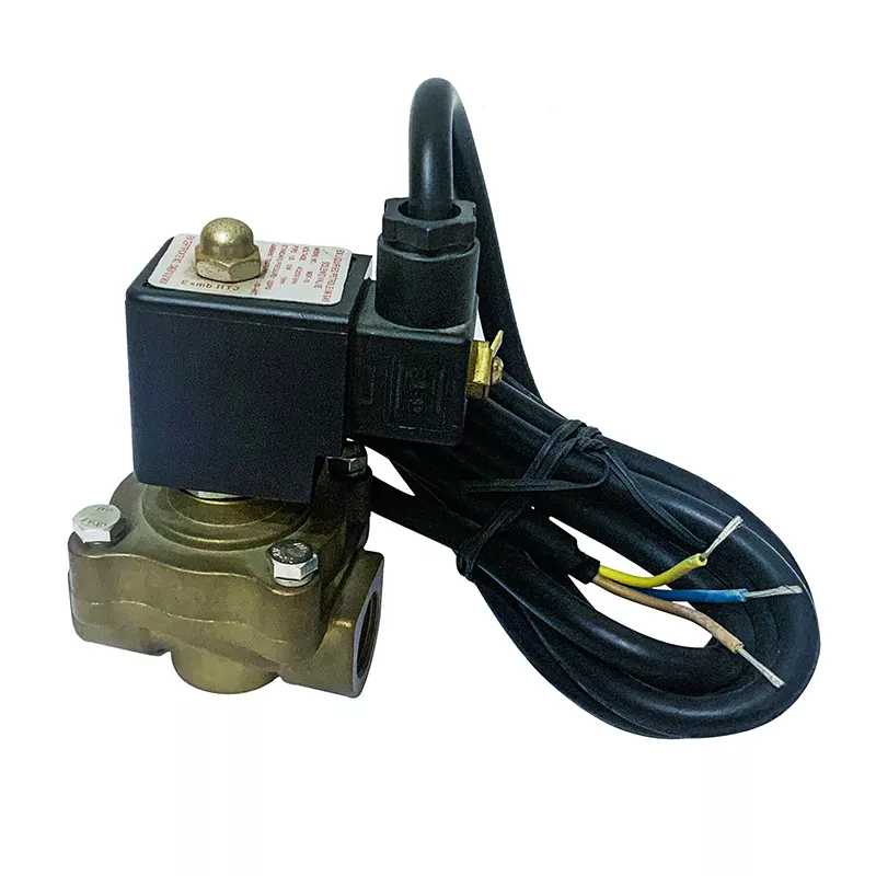 LPG solenoidklapp